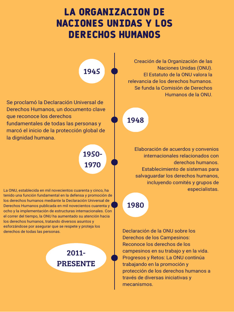 ONU y la Evolución de Derechos Humanos | PDF | Derechos humanos ...
