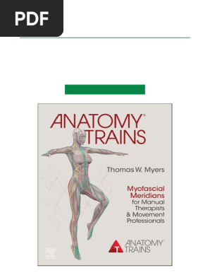DVD トム・マイヤーズ Anatomy Trains セミナー2011 6巻