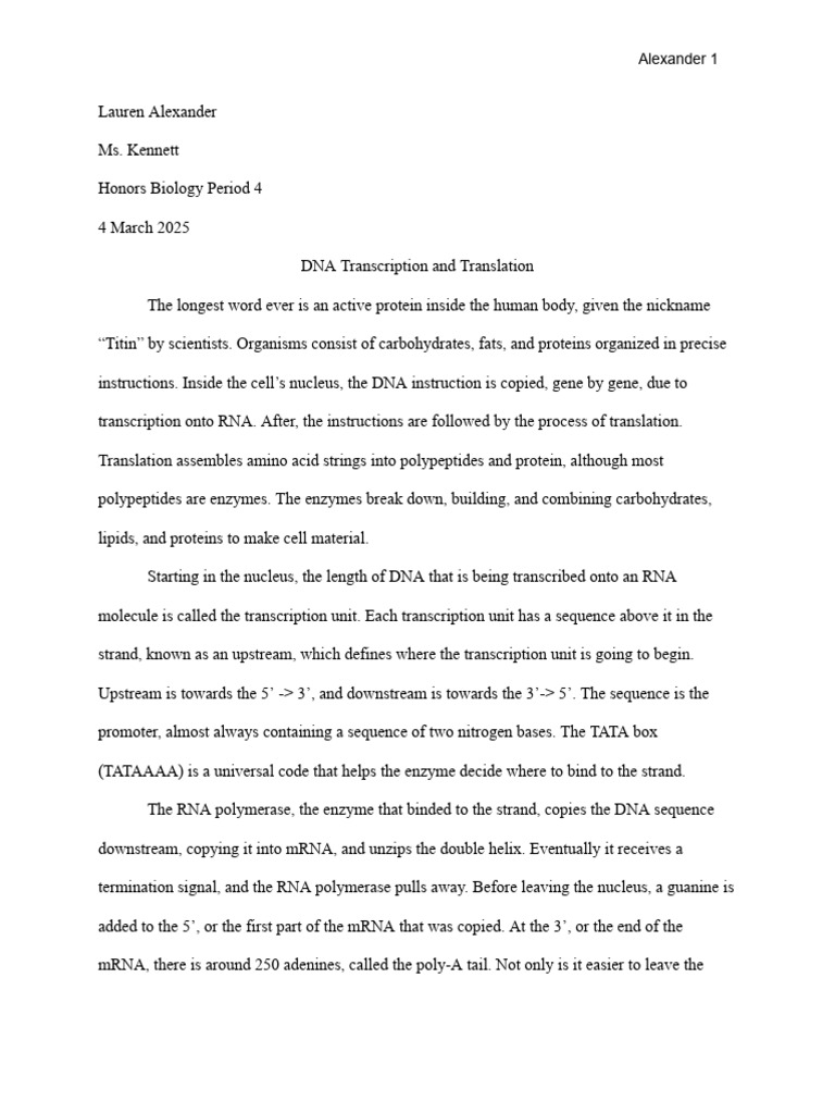 DNA Transcription and Translation | PDF | Rna | Translation (Biology)