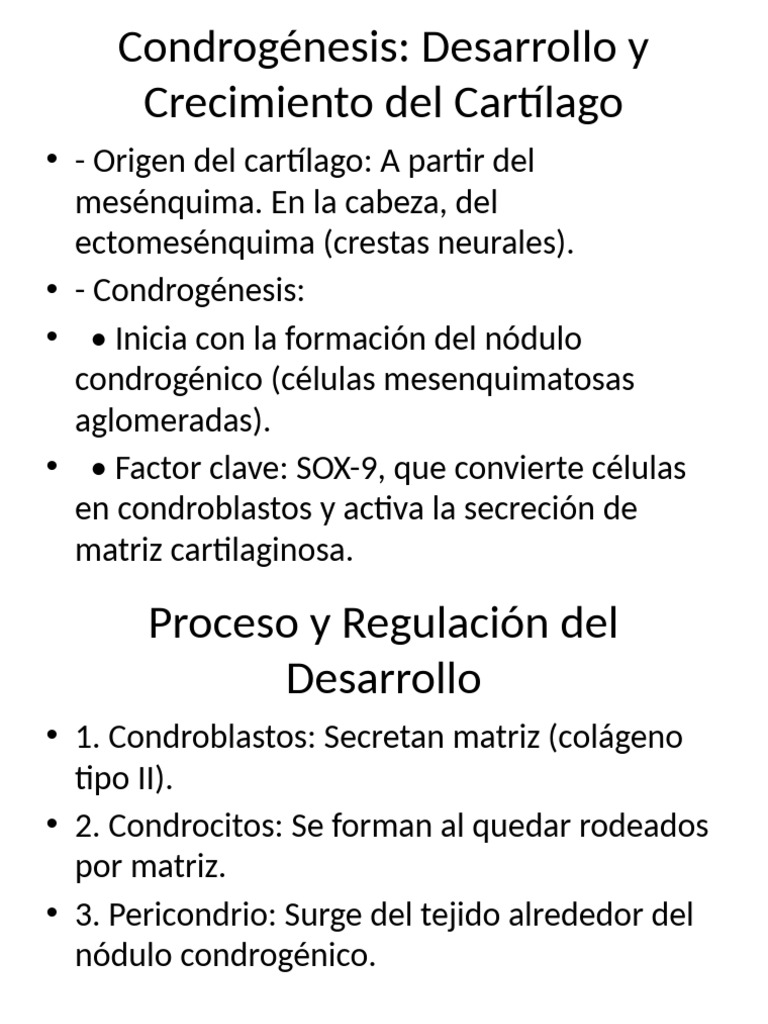Condrogénesis: Crecimiento del Cartílago | PDF