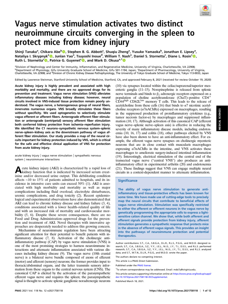 Vagus Nerve Stimulation and Kidney Protection | PDF | Vagus Nerve | Nerve