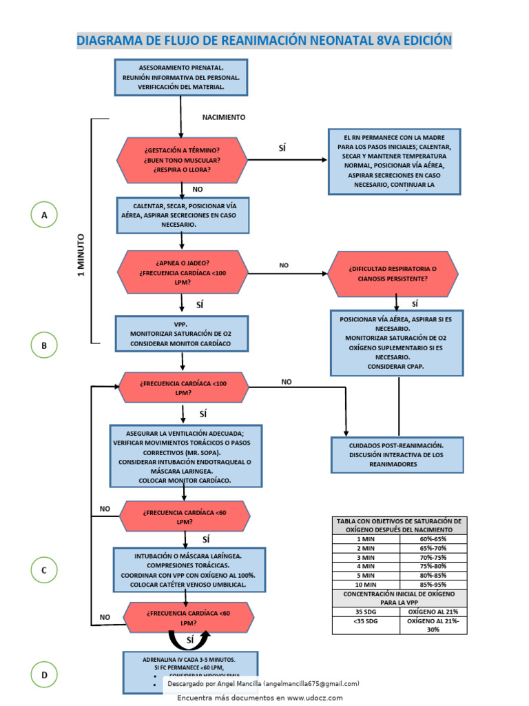 Flujograma de Reanimación Neonatal 8ª Ed. | PDF | Especialidades