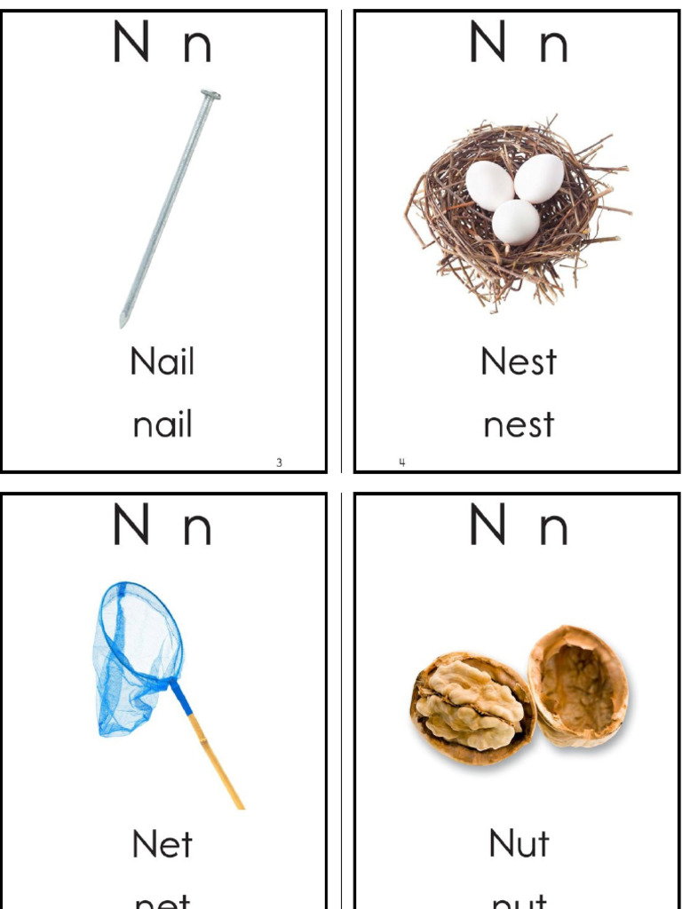 Letter N | PDF
