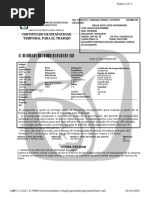 Significado de CVE PTAL en Incapacidades IMSS | PDF | Ciencias de la Salud