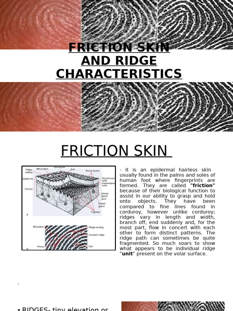 Midterm Module Fs2 L 2 | PDF | Skin | Fingerprint