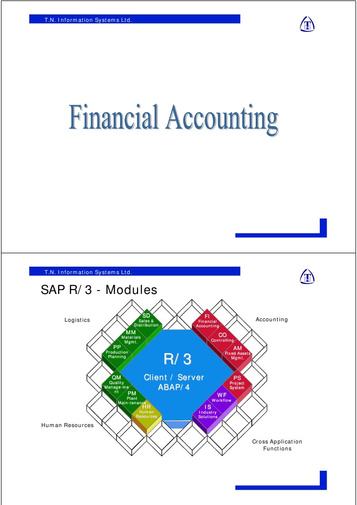 SAP R/3 - Modules: T.N. Information Systems LTD | PDF