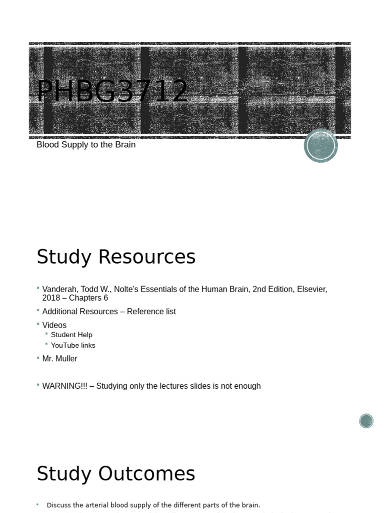 Blood Supply to the Brain Overview | PDF | Vein | Artery
