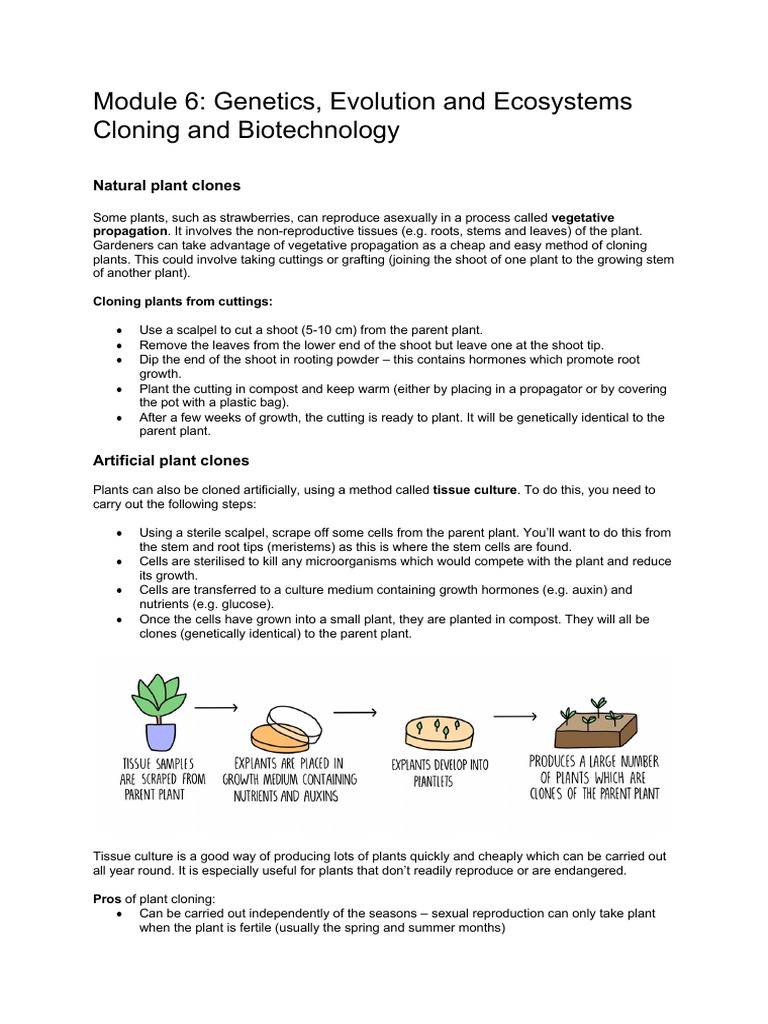 Module+6+Cloning+and+Biotechnology | PDF | Cloning | Embryo