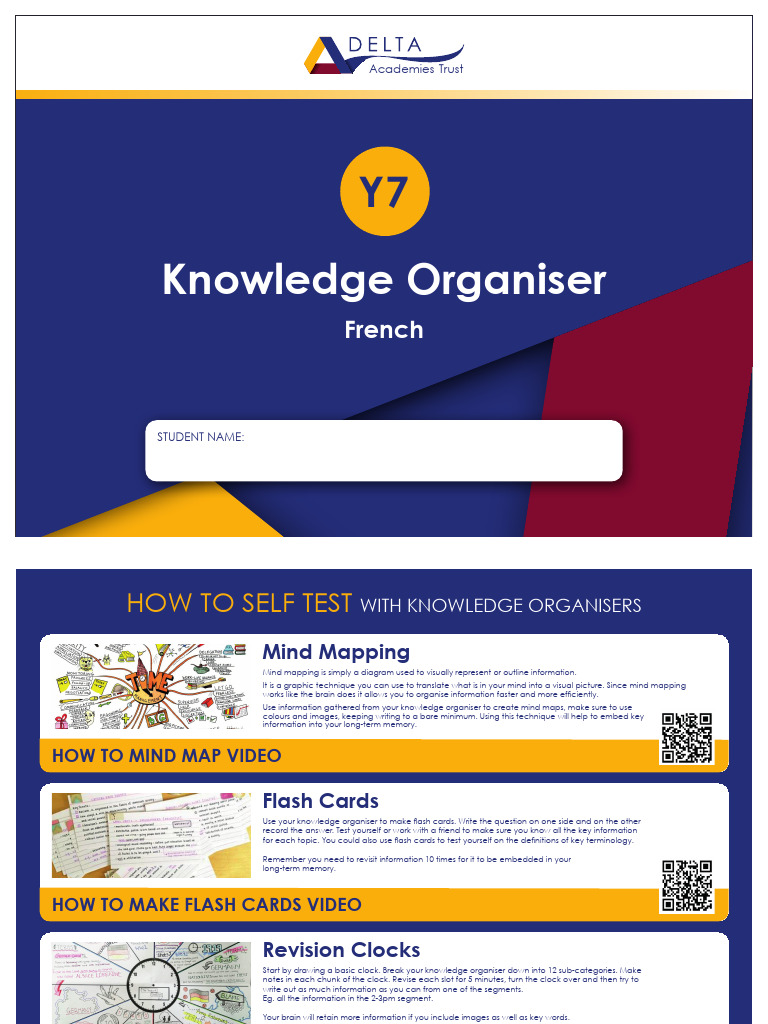 French Revision Techniques Guide | PDF