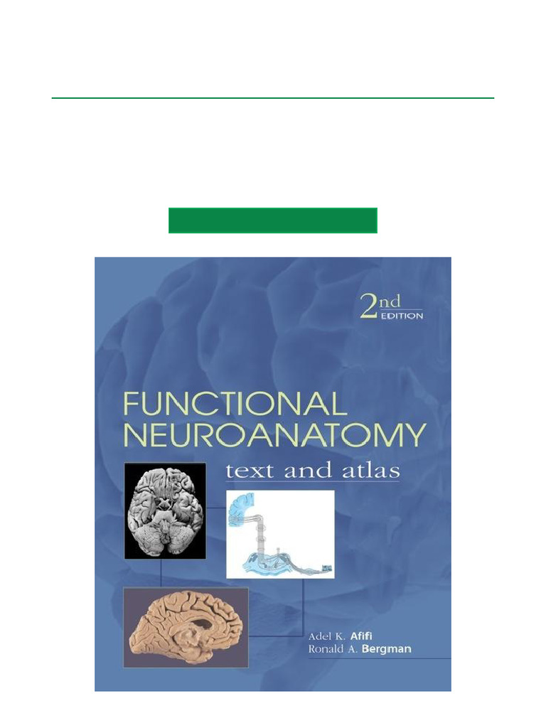 Functional Neuroanatomy Atlas PDF | PDF | Neuron | Axon