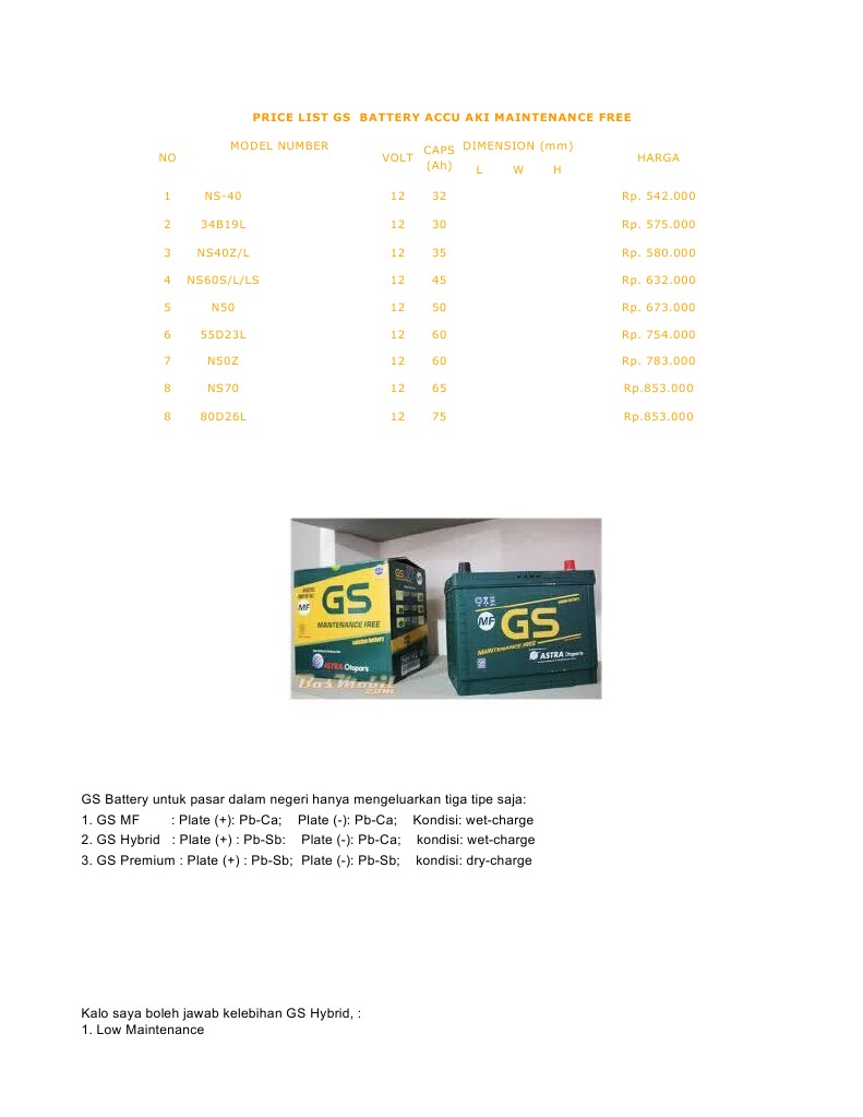 AKI GS Maintenance Free PDF