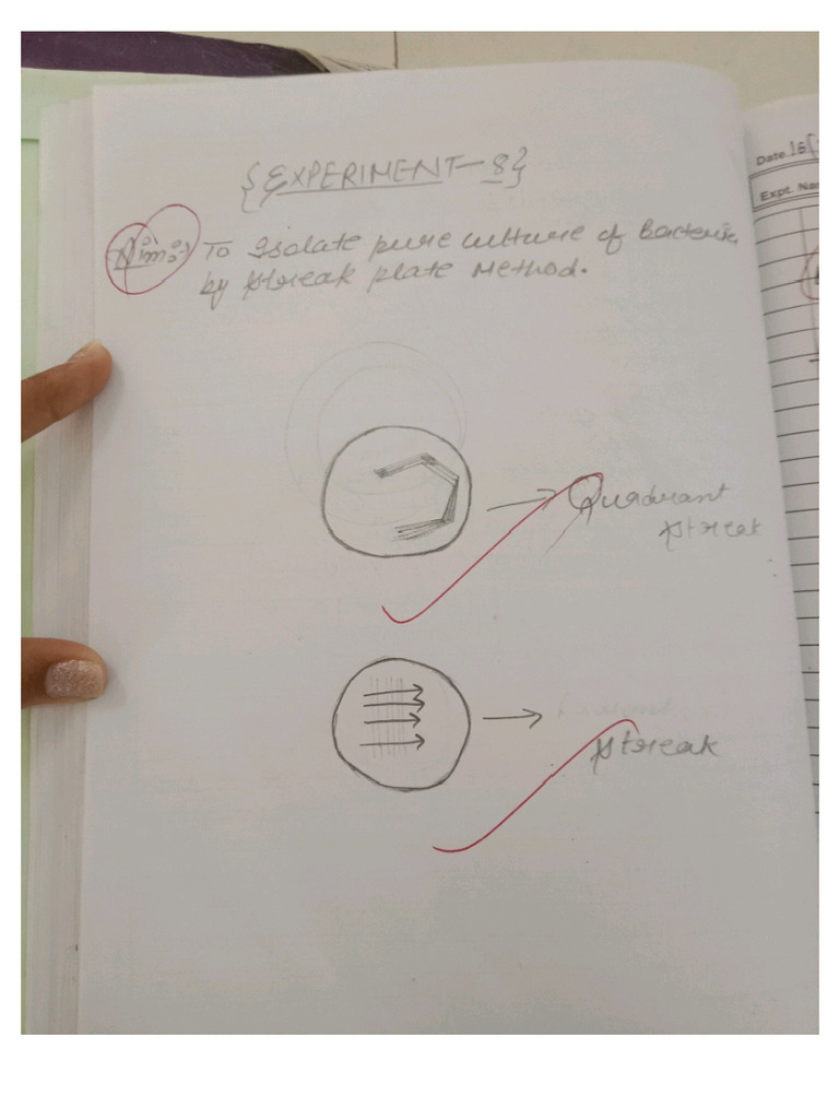 Exp - 7 | PDF