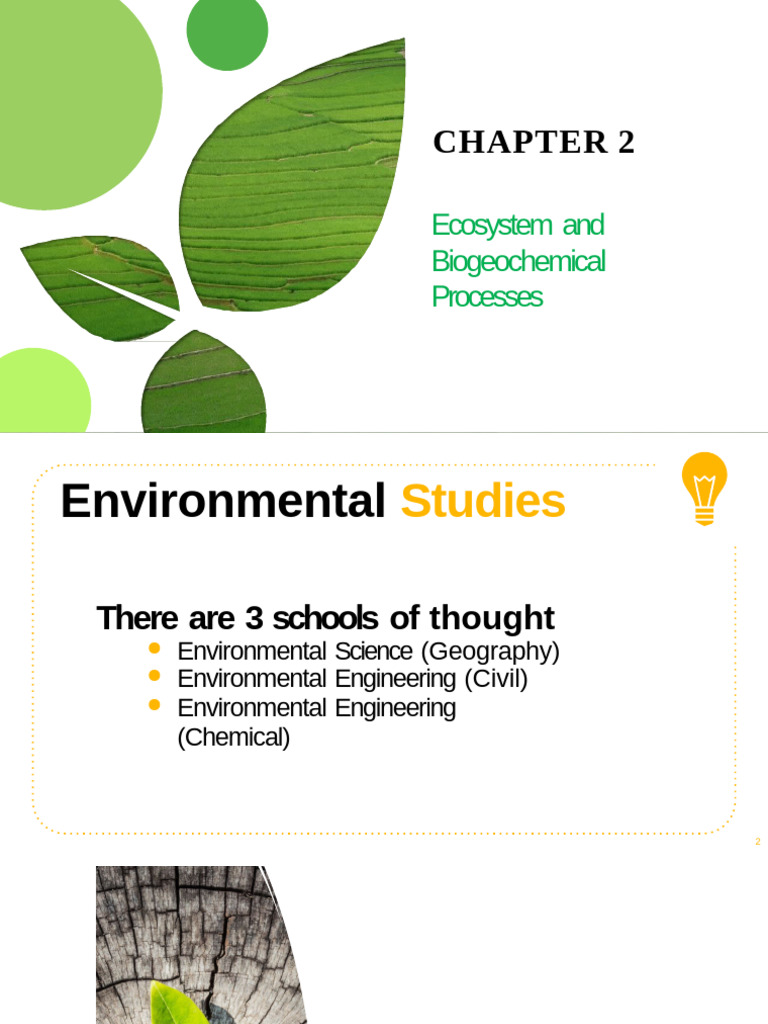 Ecosystems and Biogeochemical Cycles | PDF | Ecosystem | Mole (Unit)