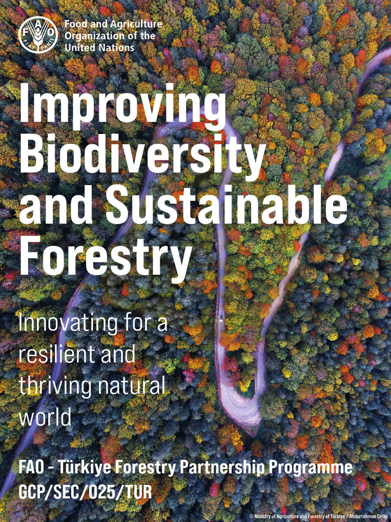 Enhancing Biodiversity in Forestry | PDF | Forest Management | Food And ...