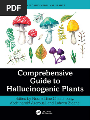 Re：ゼロから始める異世界生活-DEATH OR KISS- Comprehensive Guide To Hallucinogenic Plants - Exploring Medicinal
