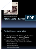 Penicilinas Naturales