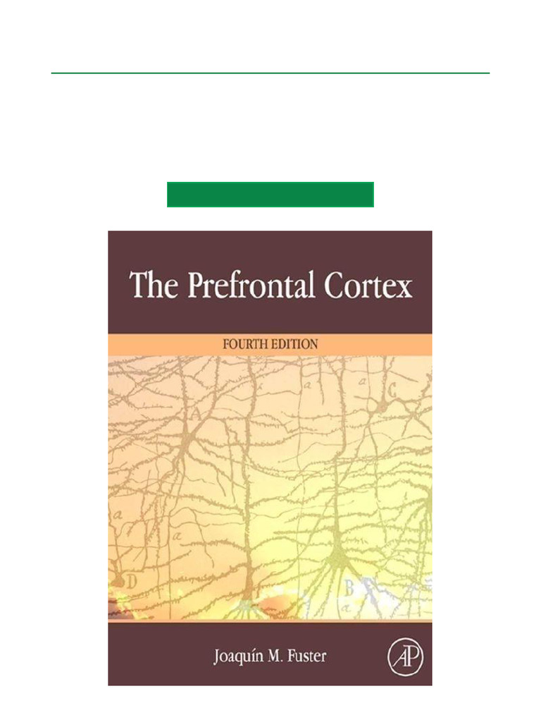 Prefrontal Cortex 4th Edition Overview | PDF | Prefrontal Cortex ...