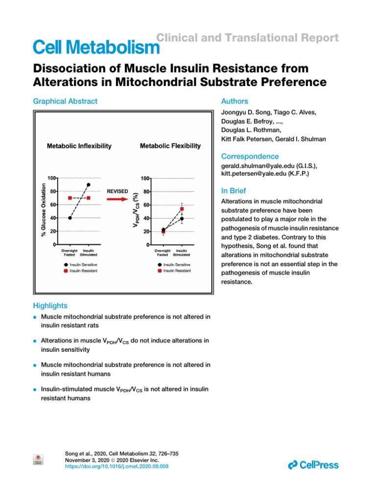 Dissociation of Muscle Insulin Resistance From Alt | PDF | Insulin ...