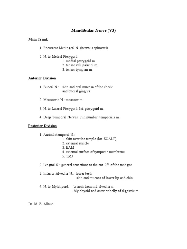 Mandibular Nerve Anatomy Guide | PDF | Foreign Language Studies ...