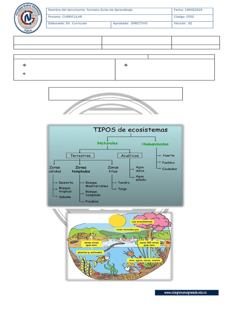 Taller Ecosistemas | PDF | Ecosistema | Suelo