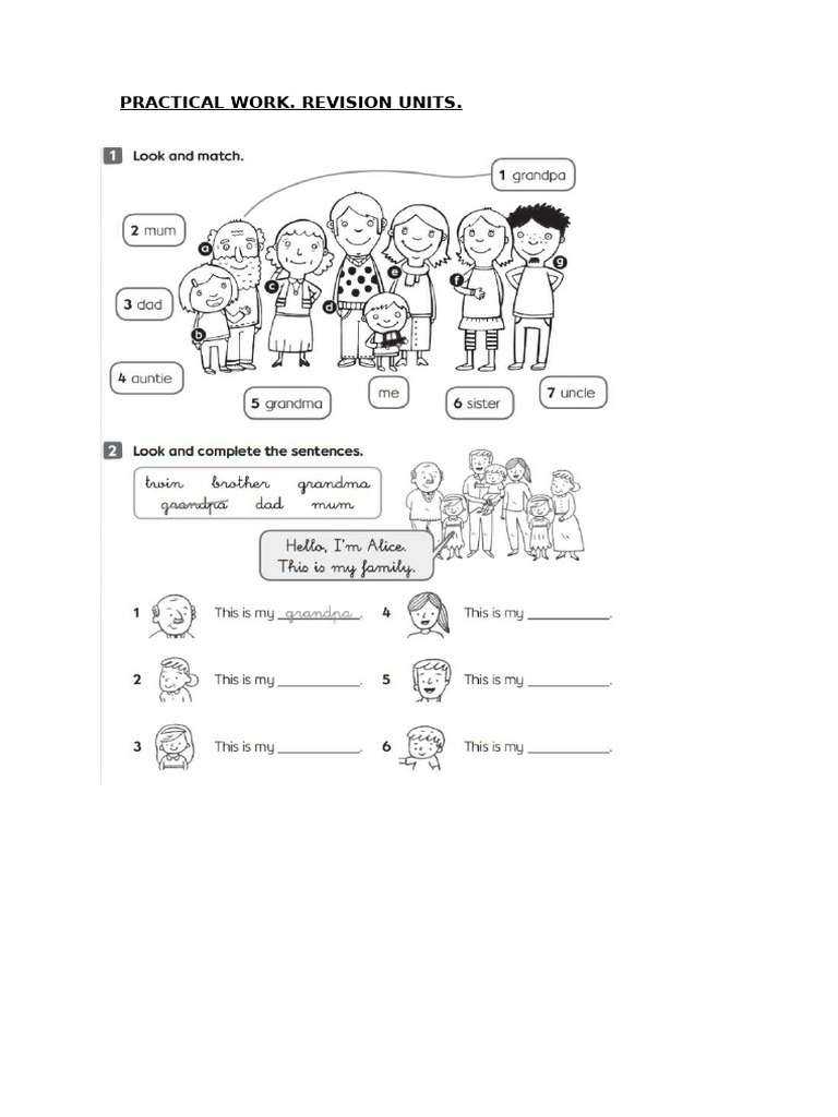 Practical Work | PDF