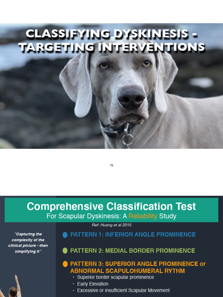 Classifying Dyskinesis - Targeting Interventions | PDF | Shoulder ...