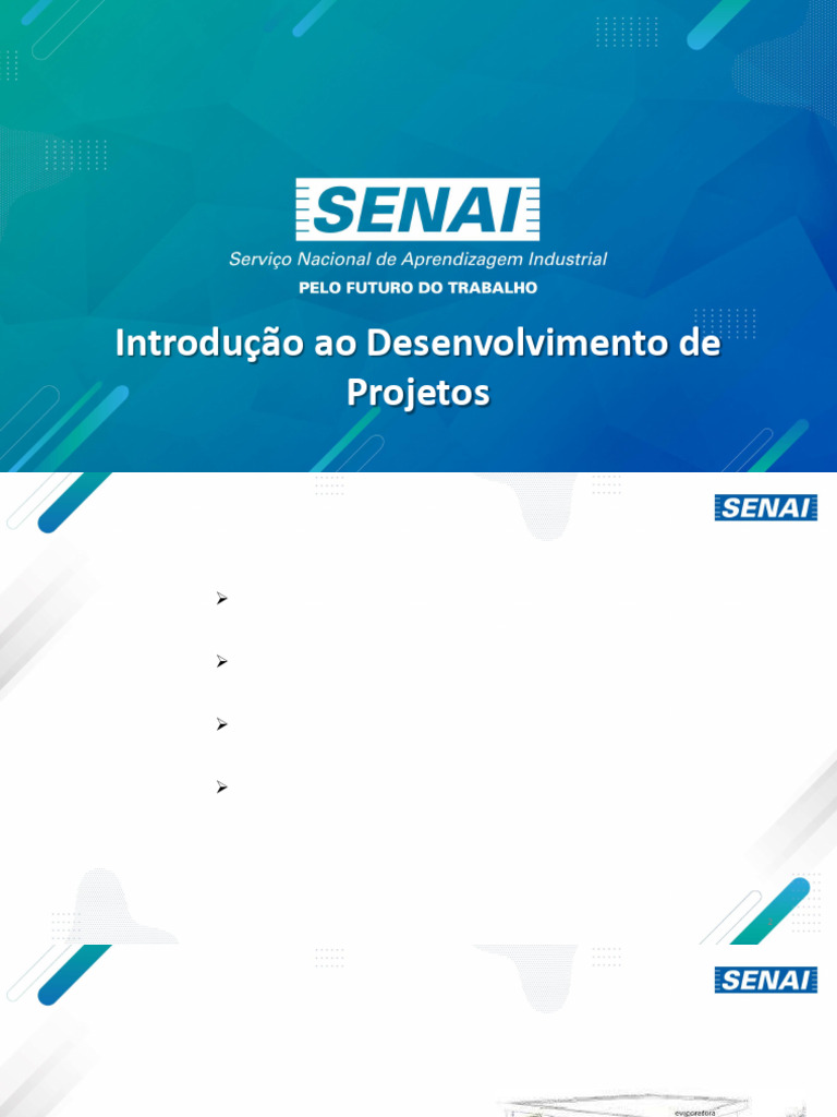 Introdução ao Desenvolvimento de Projetos | PDF | Business