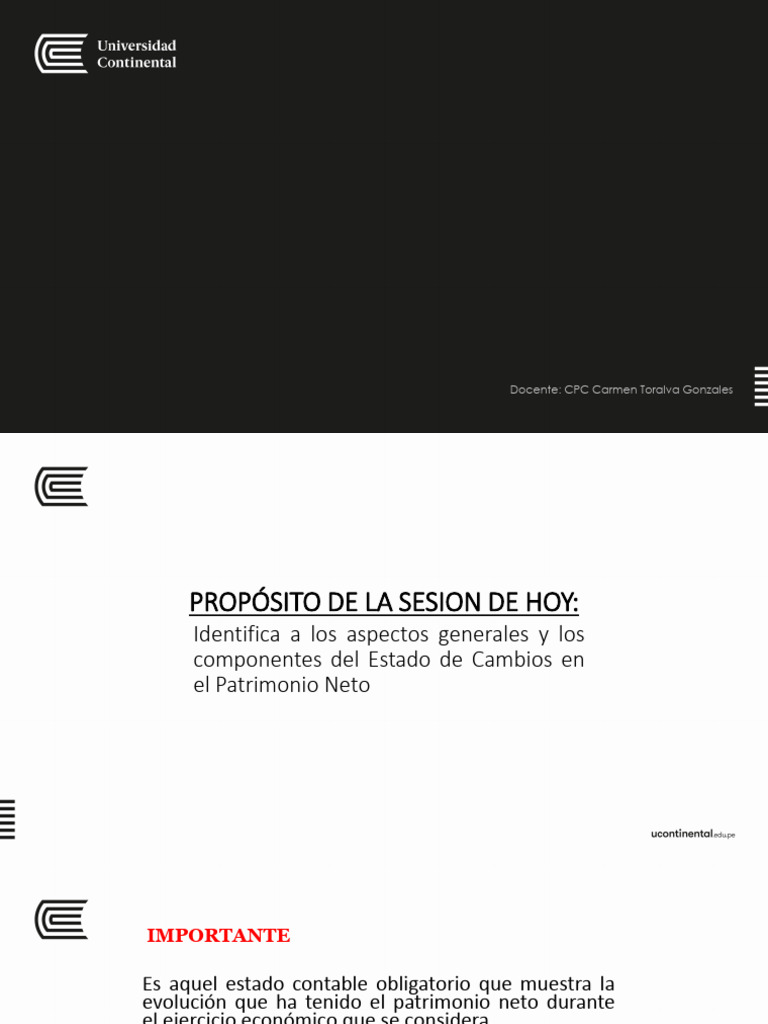 Semana 11 - Ecpn | PDF | normas internacionales de INFORMACION ...