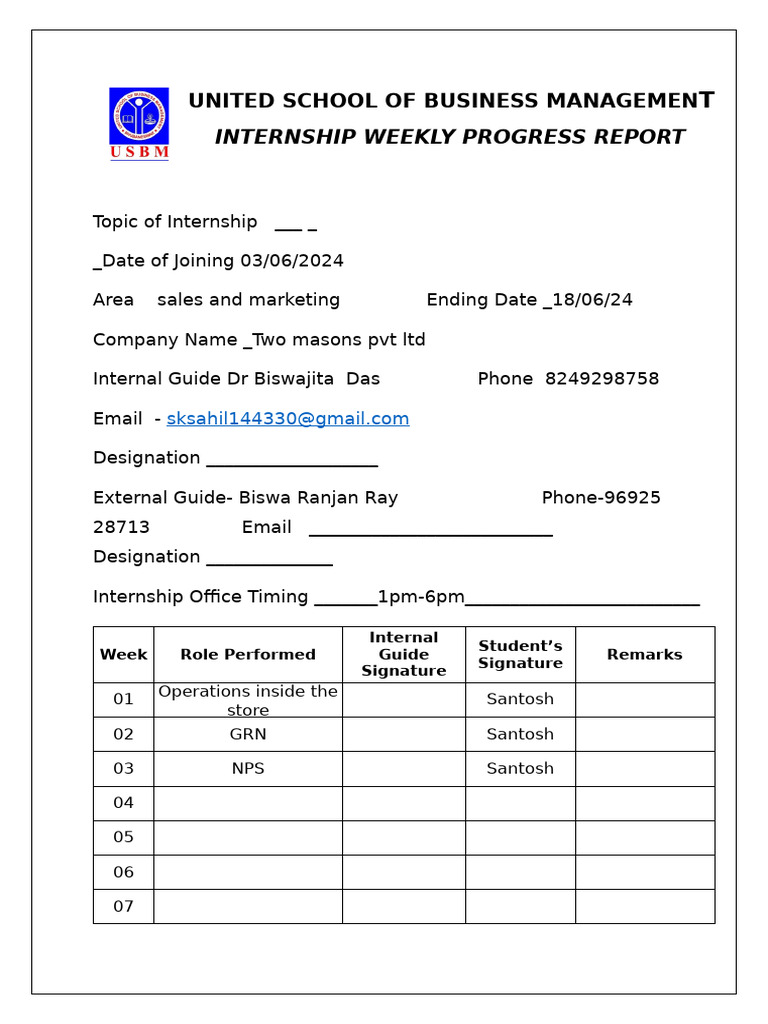 Internship Progress Report: Sales & Marketing | PDF