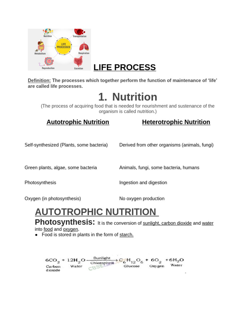 Understanding Life Processes: Nutrition Types | PDF