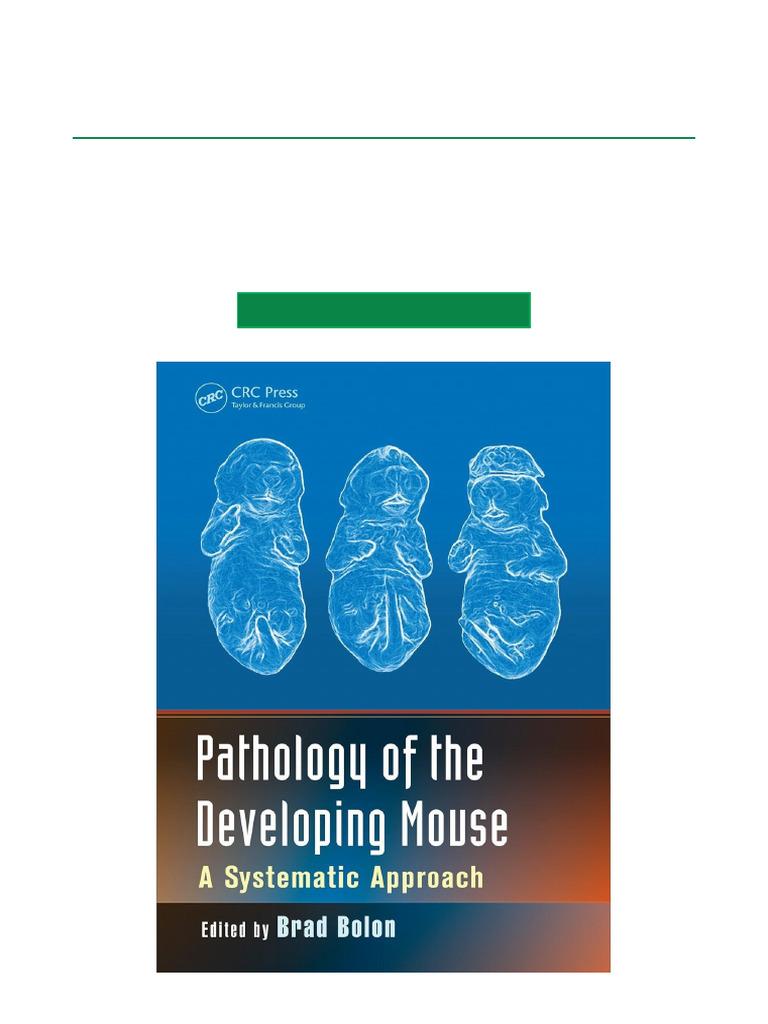 Pathology of The Developing Mouse A Systematic Approach, 1st Edition ...