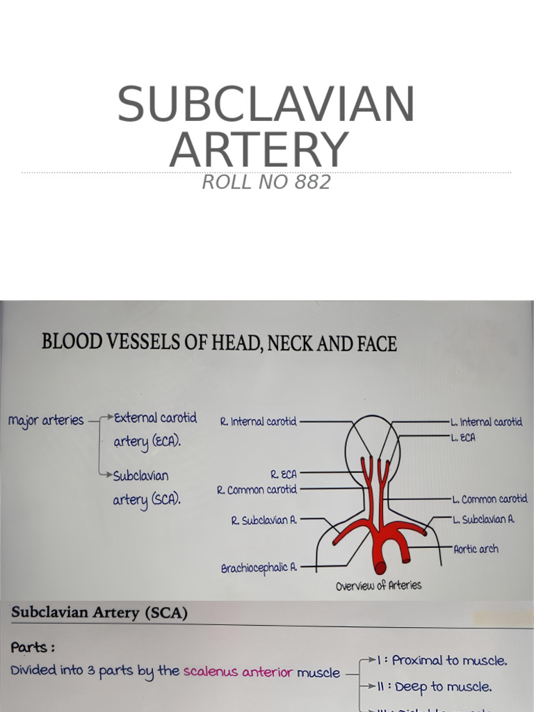 Presentation 9 | PDF