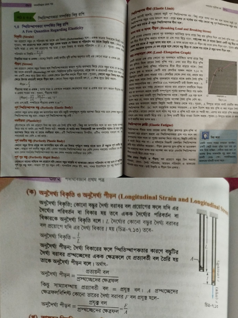SOM | PDF