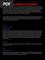 Understanding Rivers: Types and Features | PDF | Stream | River
