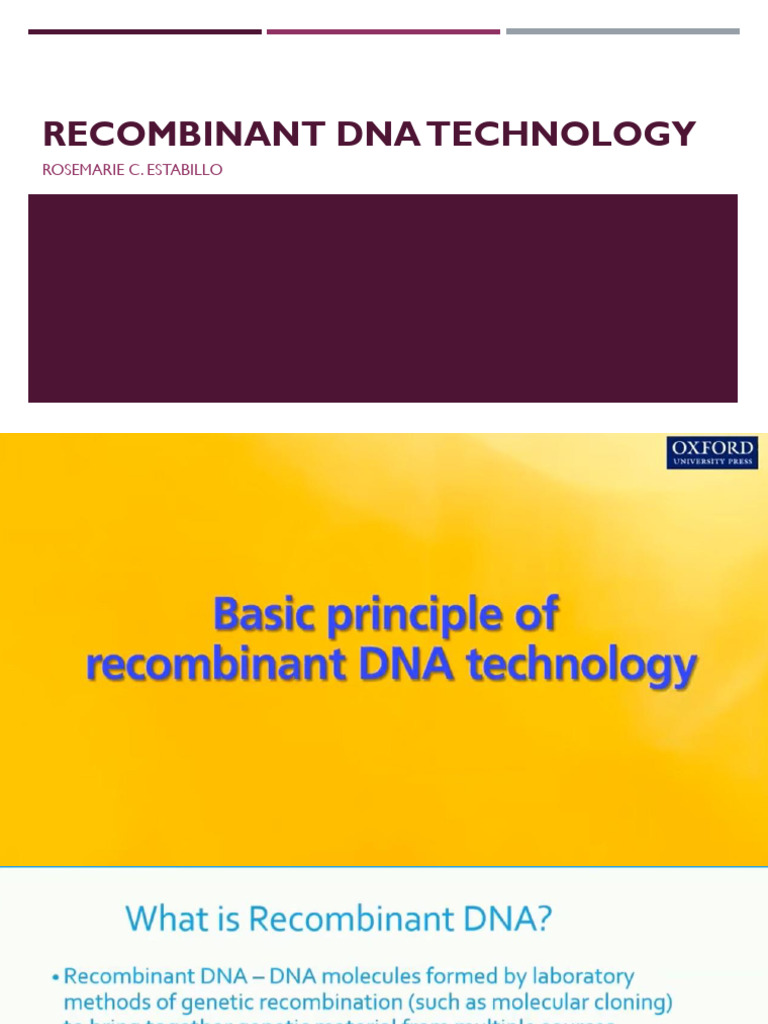 Recombinant DNA Technology Explained | PDF