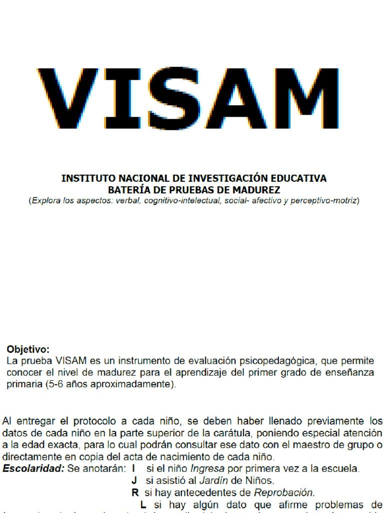 VISAM | PDF