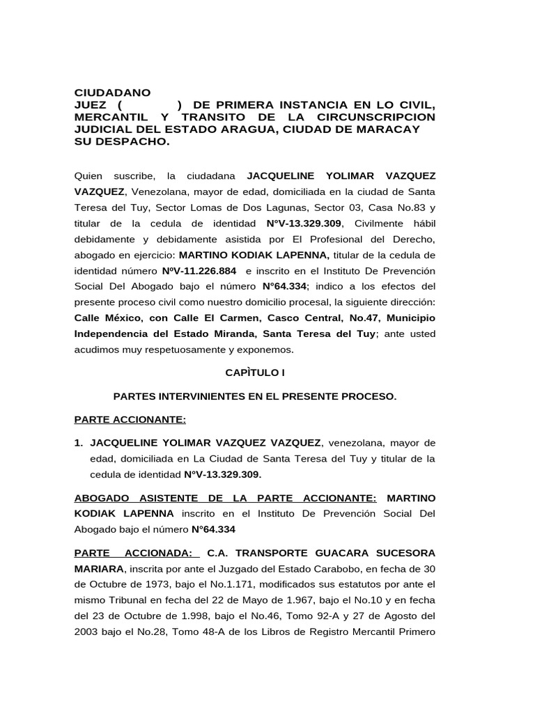 Libelo Definitivo y Corregido Mama de Homely | PDF | Daños y perjuicios