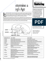 Physical Exam-How To Determine Age