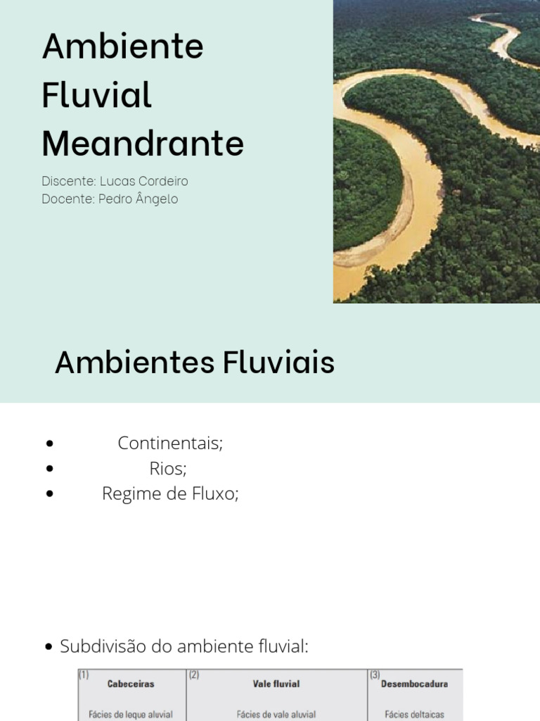 Ambientes Fluviais Meandrantes | PDF | Hidrologia | Água