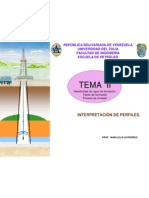 TEMA II Inter Perfiles