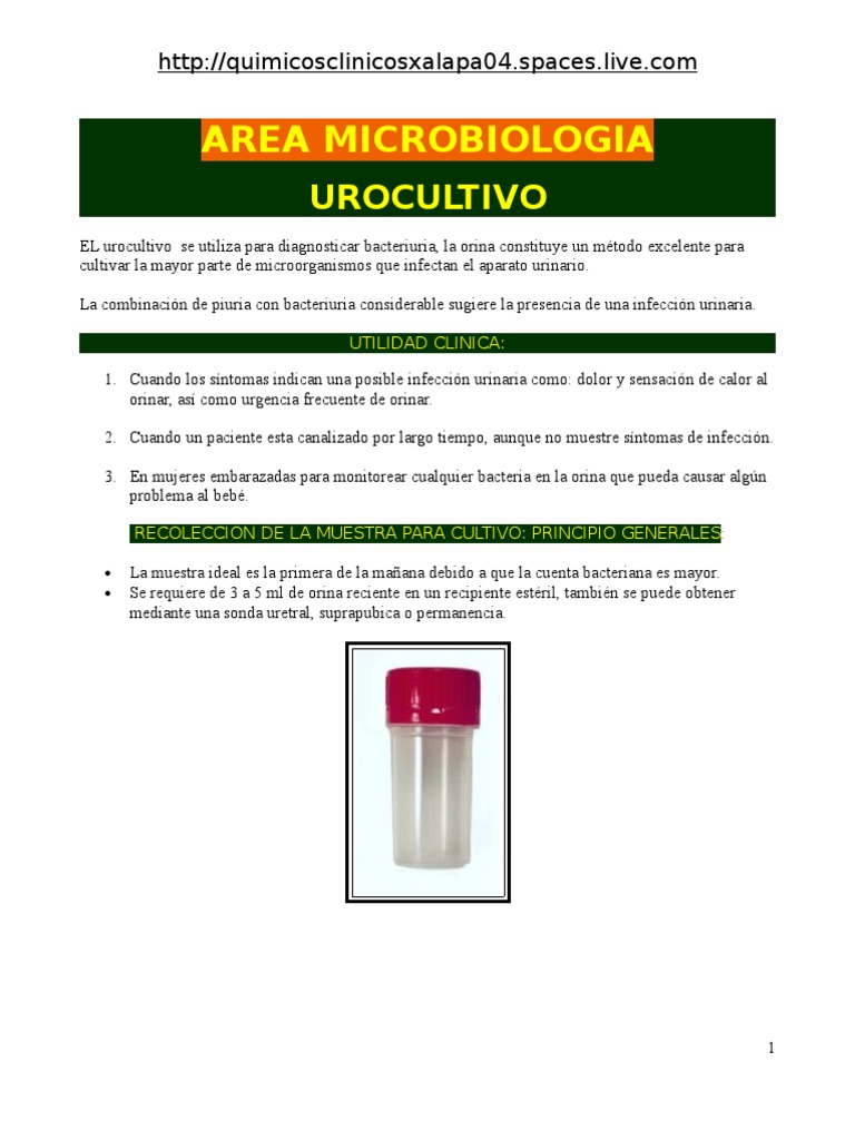 Urocultivo