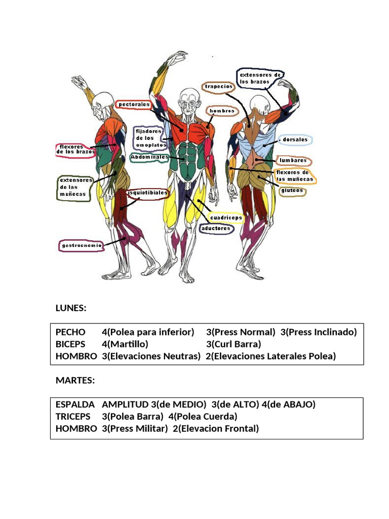 Final Boss Routine | PDF