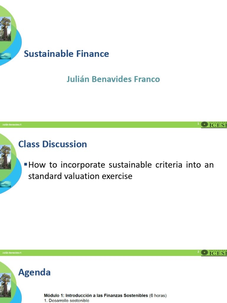 Sustainable Financial Management Strategies | PDF | Sustainability ...