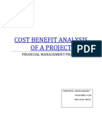 Cost Benefit Analysis of A Project