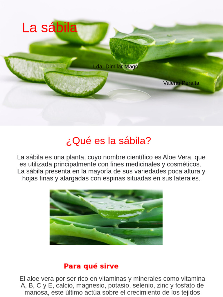 La Sábila | PDF