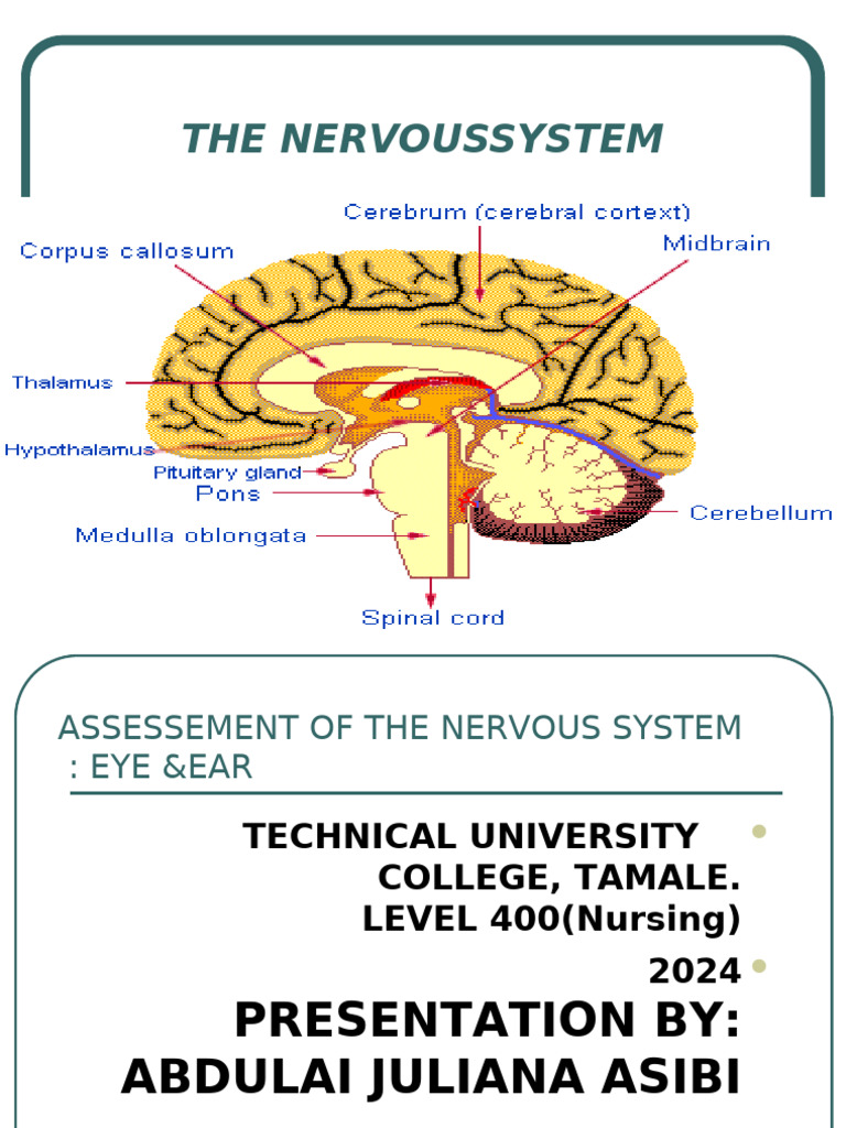 Nervous System Assessement, Eye, Ear Sept. 2024 | PDF | Anatomical ...