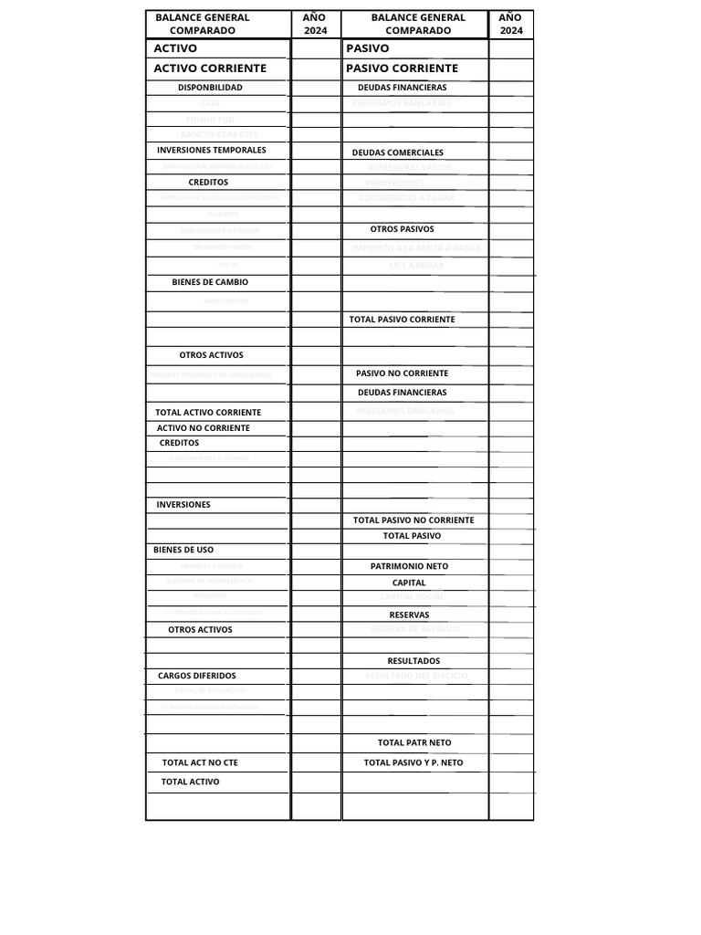 Balance General y Estado de Resultados 2024 | PDF | Hoja de balance ...