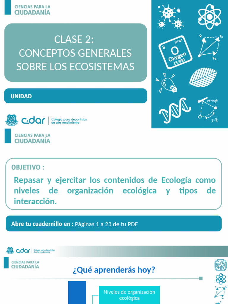 Niveles y interacciones en ecosistemas | PDF | Ecología | Ecosistema