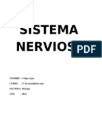 Sistema Nervioso - LEITO