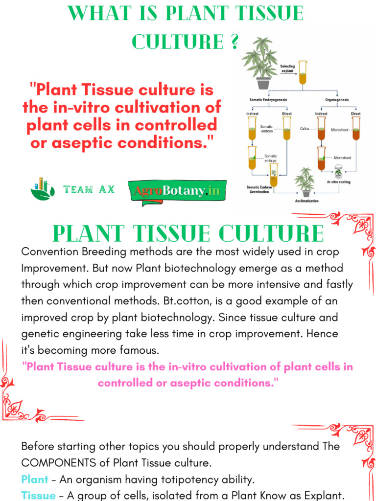 Overview of Plant Tissue Culture | PDF | Developmental Biology ...